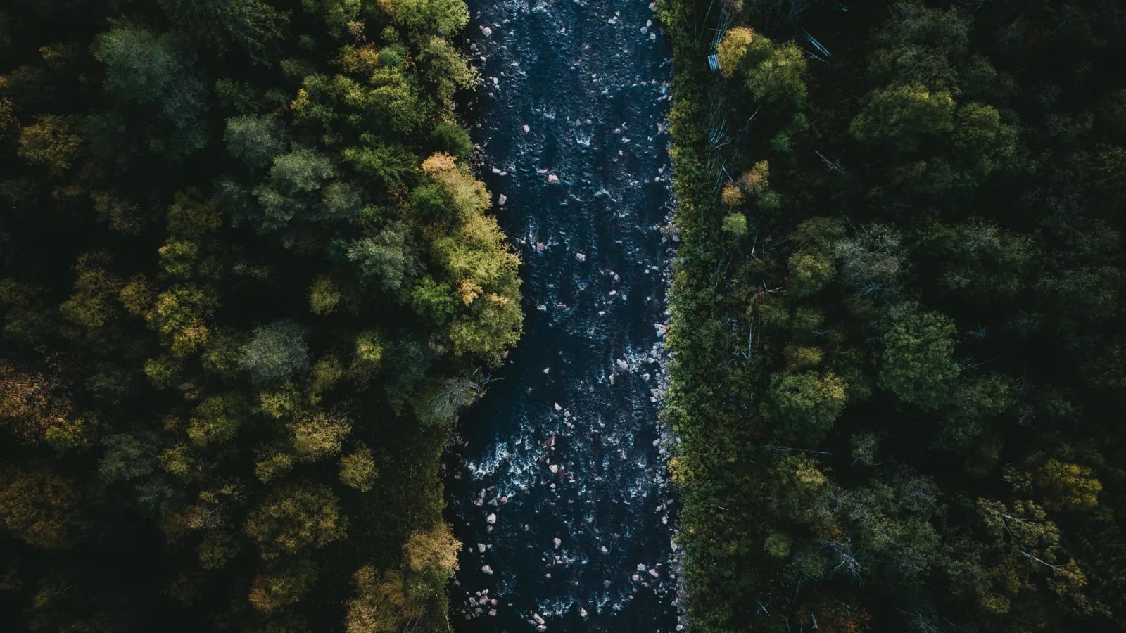 Tom ohlin Fe Xf Dfmx Nm U unsplash