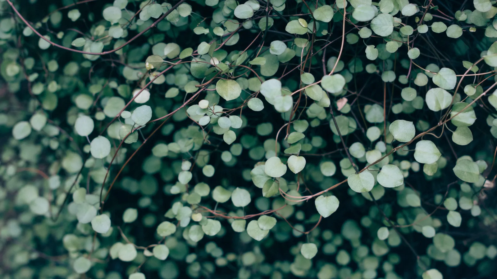 Vadim l mgfu A Ta Qnk unsplash