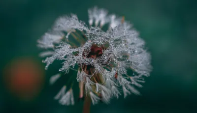 Christian sogaard moen UH Zh Z Vpk W7 U unsplash 3