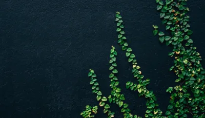 Alyani yang Waj ET vz Pm I unsplash