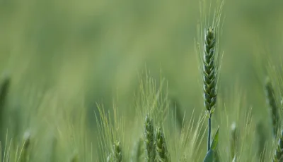 Wolfgang hasselmann Uc Nhox As6 PQ unsplash
