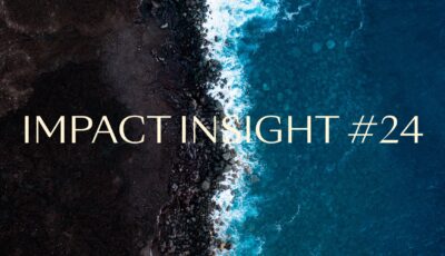 Impact Insights 24