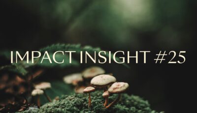 Impact Insights 25