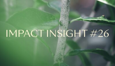 Impact Insights 26