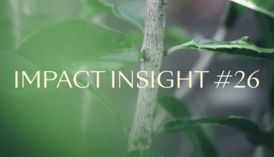 Impact Insights 26