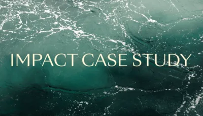 Alotta case study