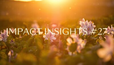 Impact Insights 22