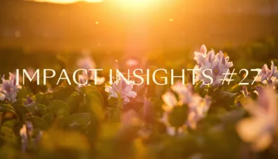 Impact Insights 22