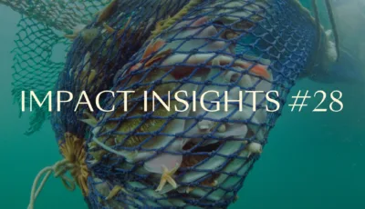 Impact Insights 22 1