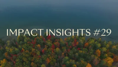 Impact Insights 22 2