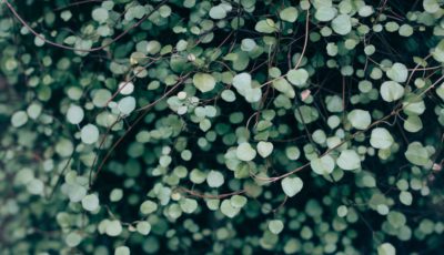 Vadim l mgfu A Ta Qnk unsplash
