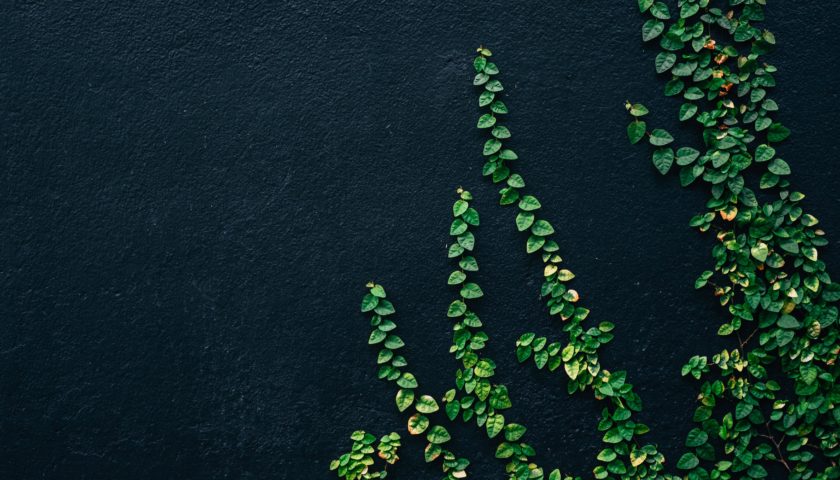 Alyani yang Waj ET vz Pm I unsplash