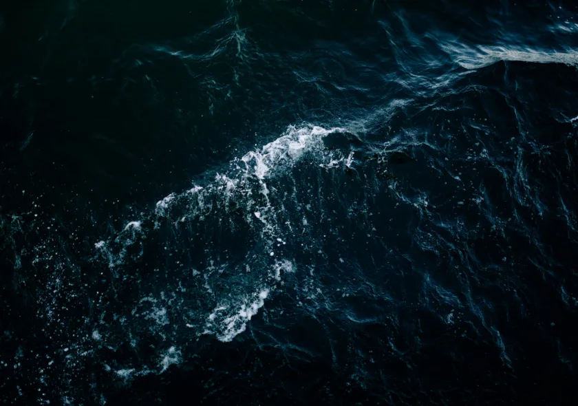 Michael benz Ig W Nxx7paz4 unsplash
