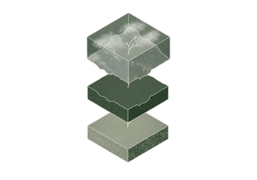 New test 1