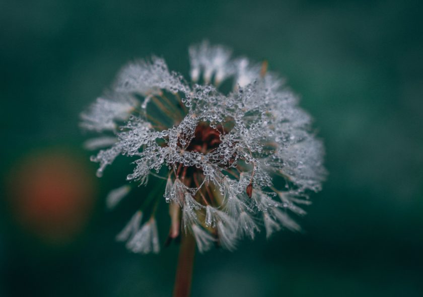 Christian sogaard moen UH Zh Z Vpk W7 U unsplash 3