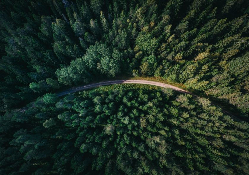 Geran de klerk qzg N45hse N0 unsplash 2