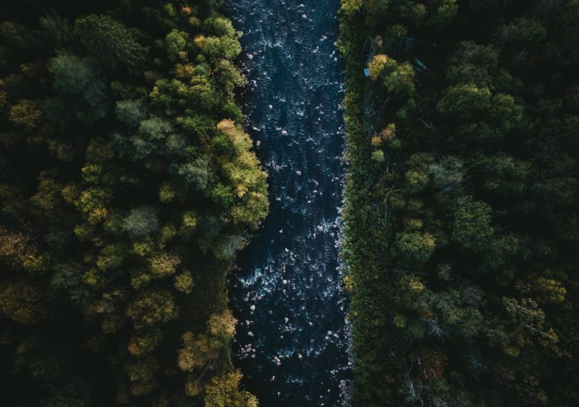 Tom ohlin Fe Xf Dfmx Nm U unsplash